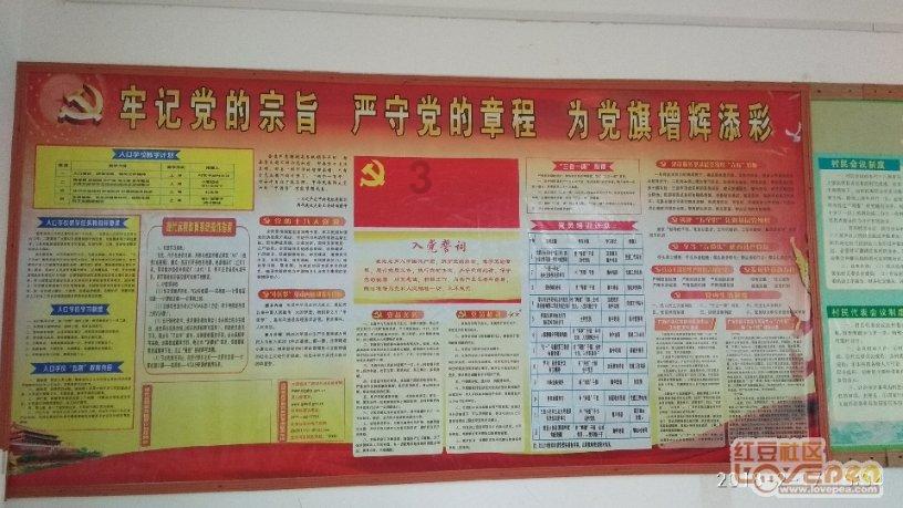 我国大多数教育目的是学习就是出路，外国为什么跟我们不一样？游戏画面